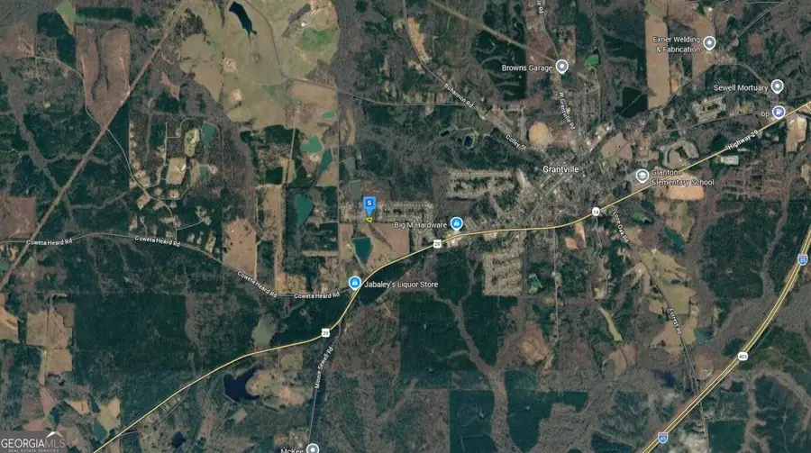 128 Bombay Ln, Grantville, GA 30220 - #3