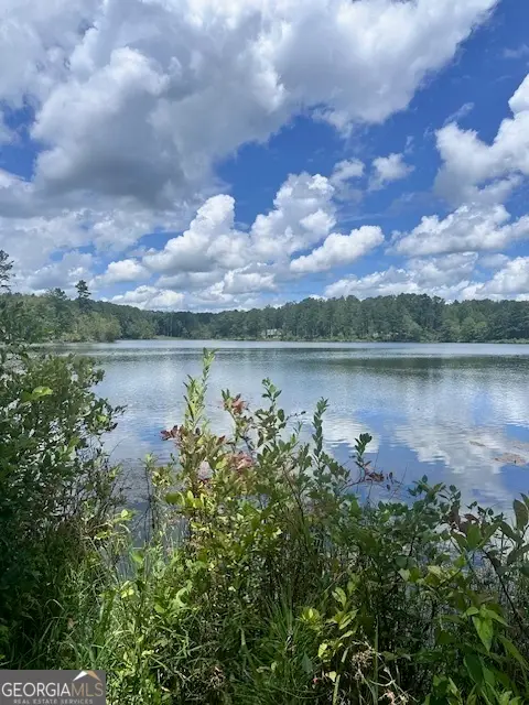 0 Us Highway 34 W, Newnan, GA 30263 - #3