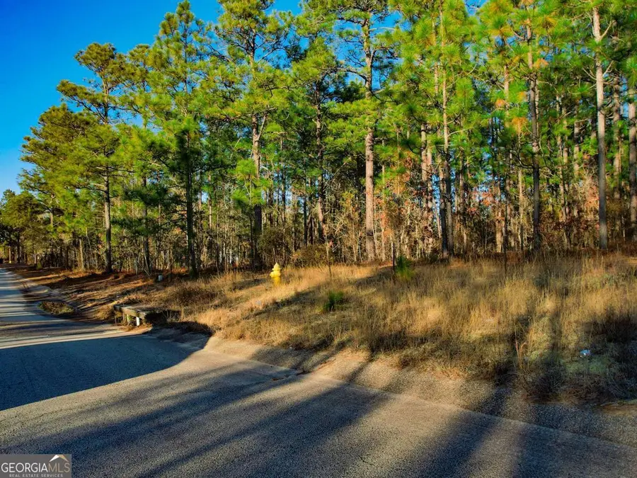 4667 Deans Bridge Road, Blythe, GA 30805 - #3