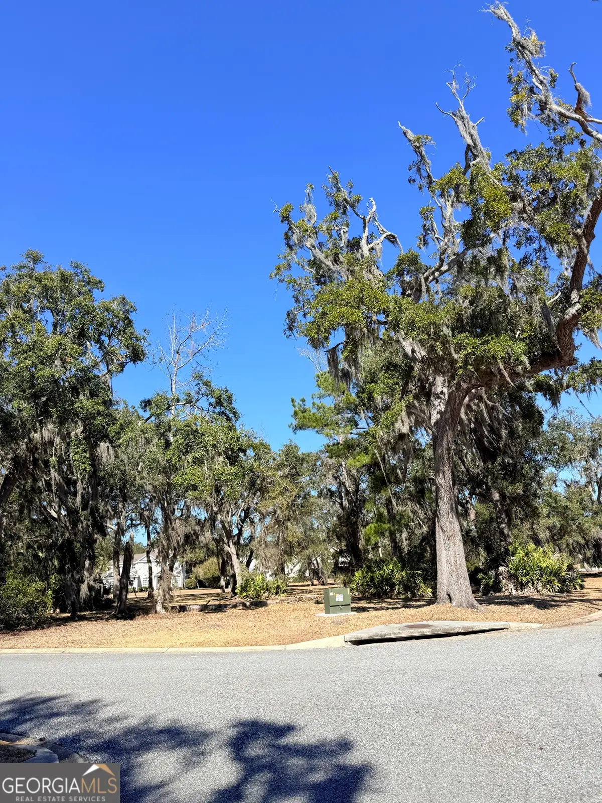 0 Maiden Creek Drive #LOT 60, Waverly, GA 31565 - #1