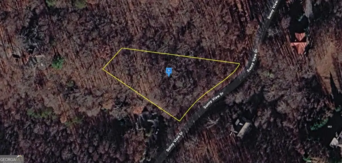 452 Sunny View Drive, Blairsville, GA 30512 - #1