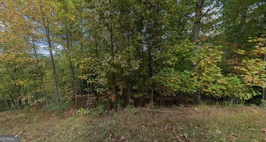 452 Sunny View Drive, Blairsville, GA 30512 - #2