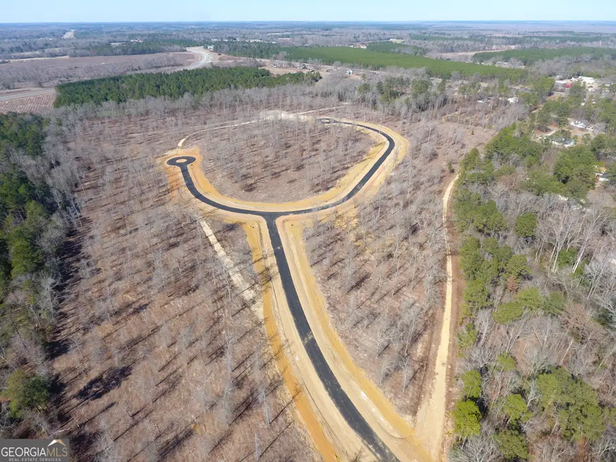 0 Holly Ridge Lot 4, Dublin, GA 31021 - #3