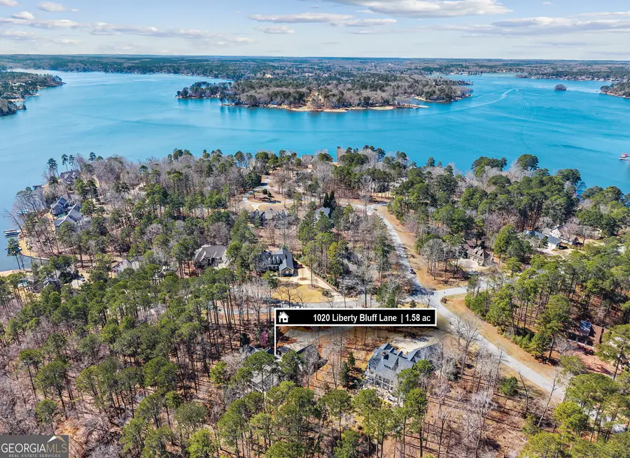 1020 Liberty Bluff Lane, Greensboro, GA 30642 - #3