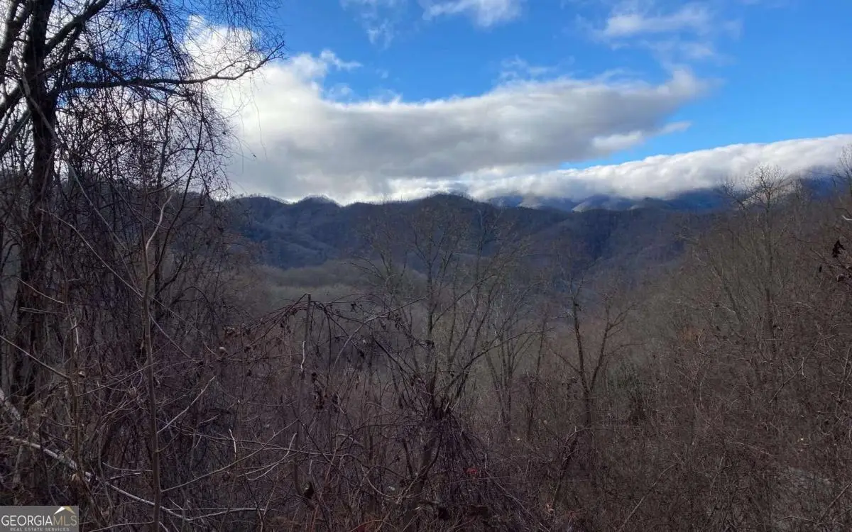 LOT J1 Georgianna Lane, Bryson City, NC 28713 - #1