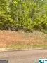 LOT 32 13TH COU 13th Court, Lanett, AL 36863