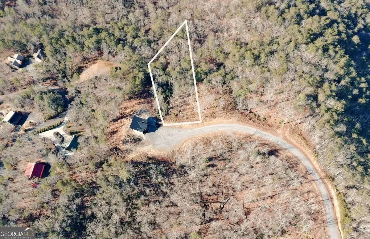 LOT 53 Mountain Laurel Ridge, Mineral Bluff, GA 30559 - #1