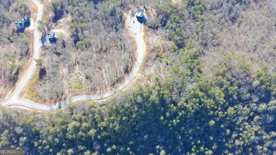 LOT 53 Mountain Laurel Ridge, Mineral Bluff, GA 30559 - #3