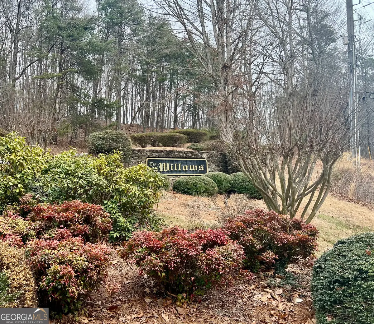 0 Willows Dr, Cleveland, GA 30528 - #1