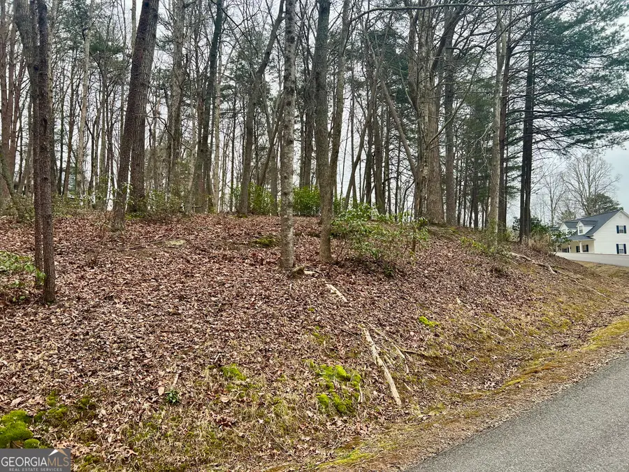 0 Willows Dr, Cleveland, GA 30528 - #3