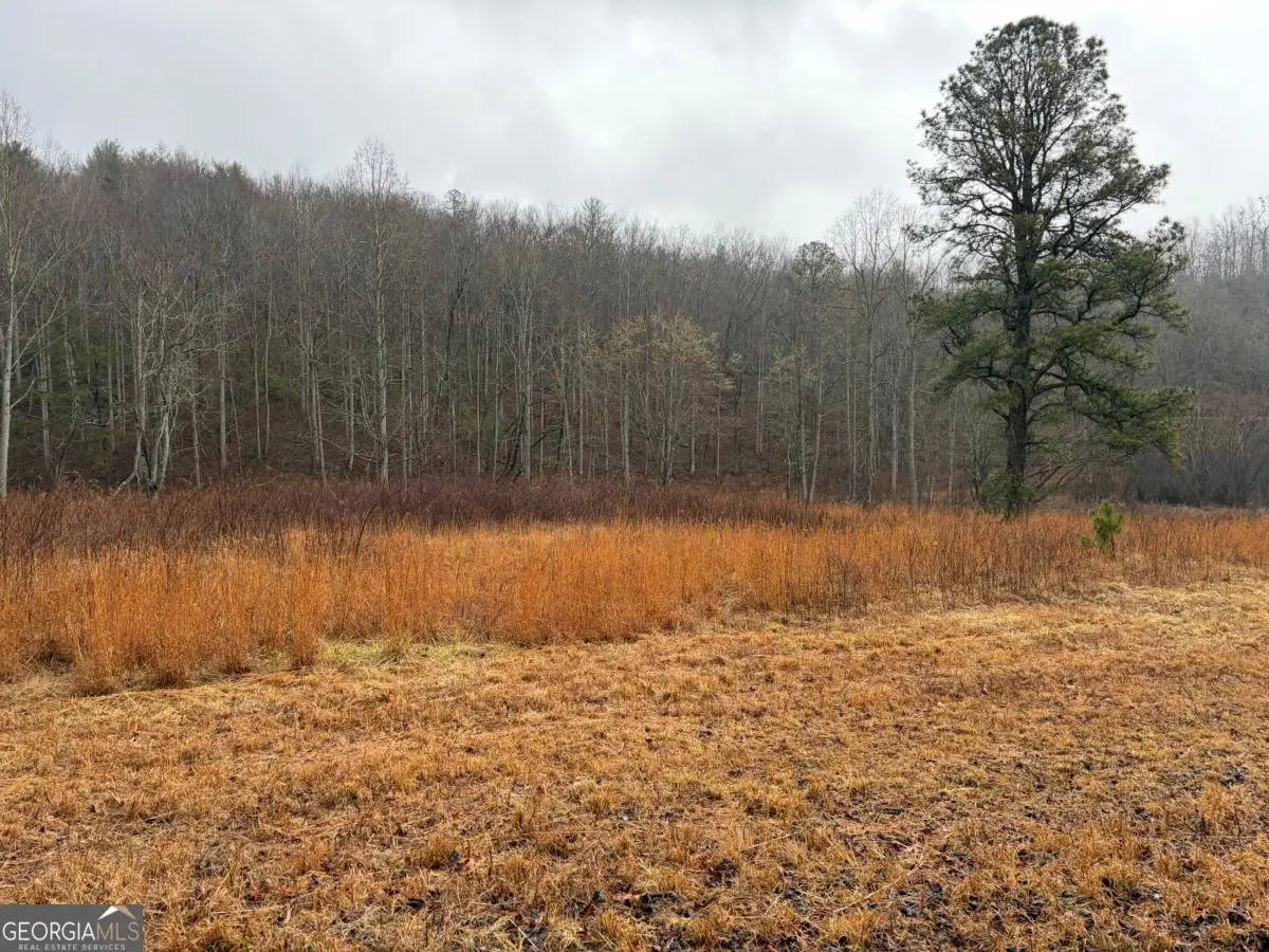 LOT 42 Whisper Woods Road, Hiawassee, GA 30546 - #1