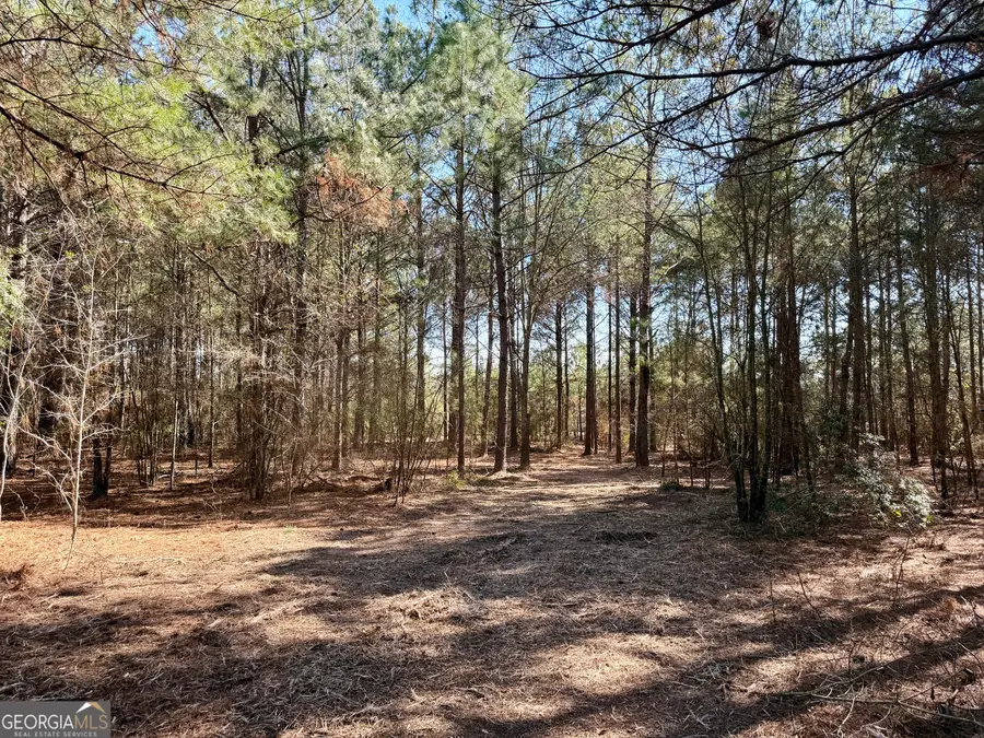 NORTH TRACT 0 Shady Grove Road, Abbeville, GA 31001 - #3