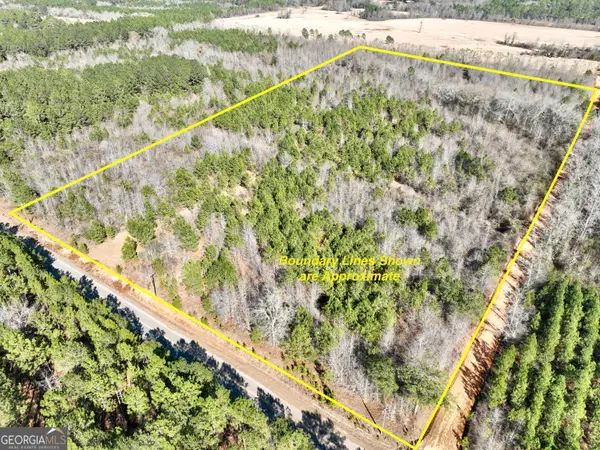 SOUTH TRACT 0 Shady Grove Road, Abbeville, GA 31001