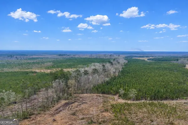 0 Highway 121, Glennville, GA 30427