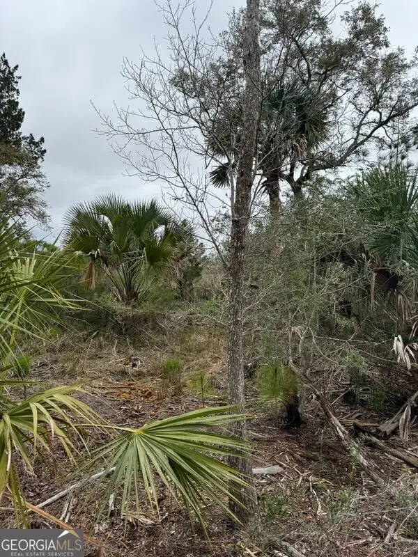 311 Galley Lane #V/L 794, Saint Marys, GA 31558 - #2