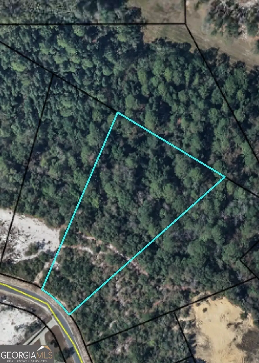 0 Plantation Pines Drive, Blackshear, GA 31516 - #3