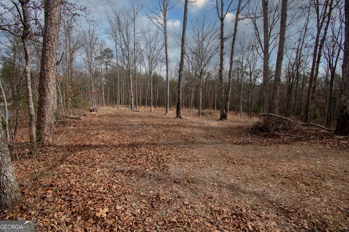 329 Marrestop Road, Murphy, NC 28906 - #1