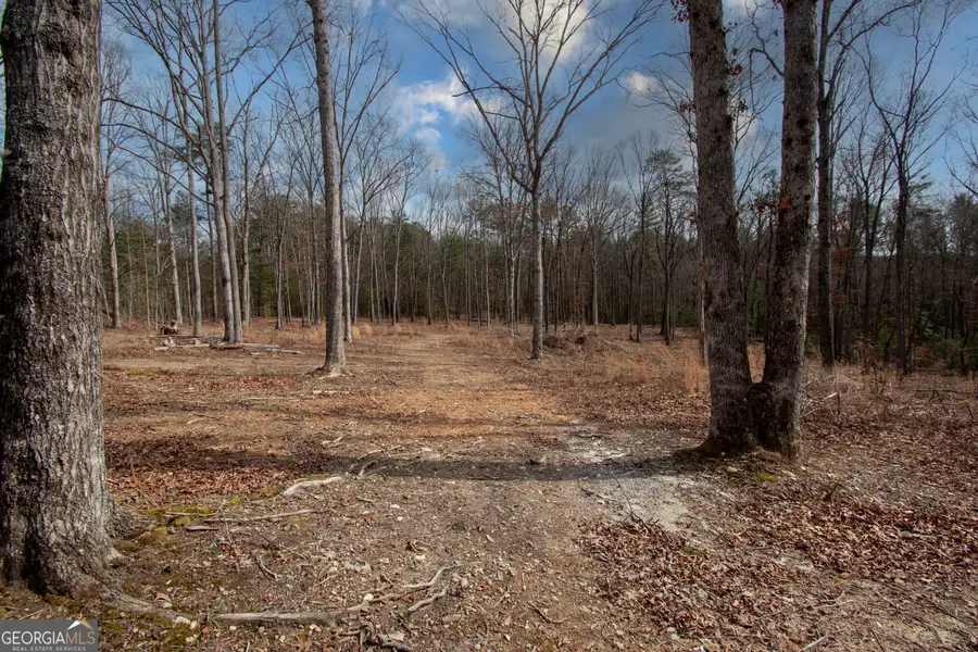 329 Marrestop Road, Murphy, NC 28906 - #2