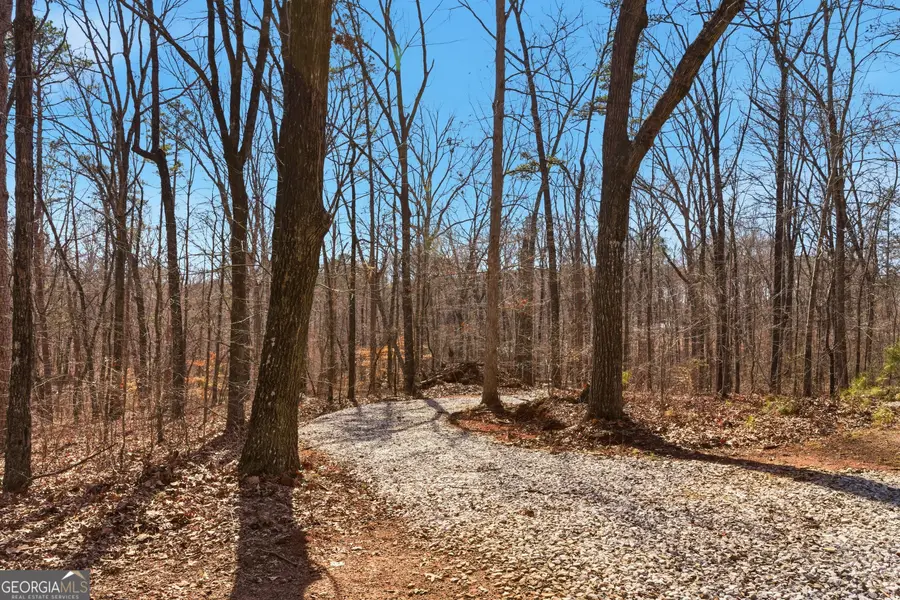 0 Davis Road, Eastanollee, GA 30538 - #3