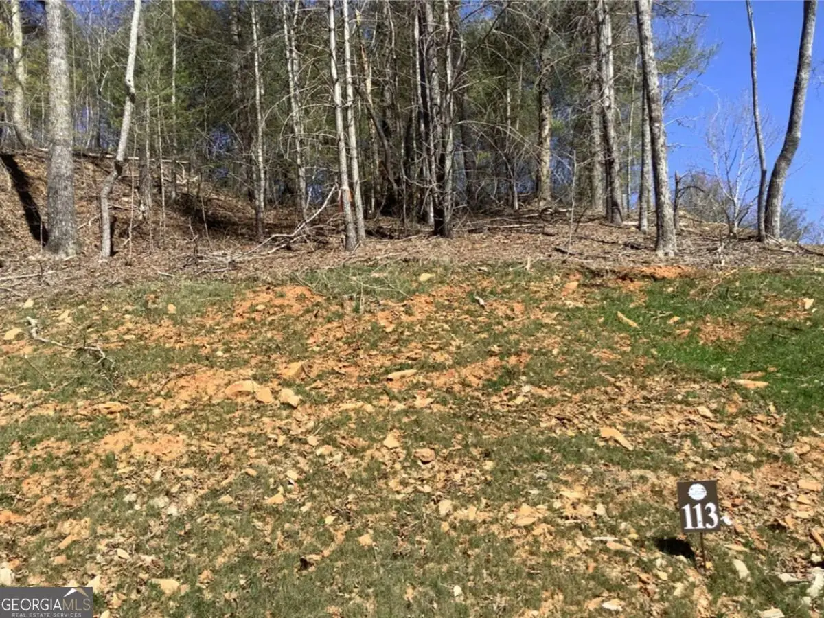 LOT113 High River Crossing, Ellijay, GA 30540 - #1