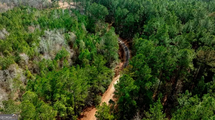 0 RIGGS MILL LA Riggs Mill Lane, Statesboro, GA 30458 - #3