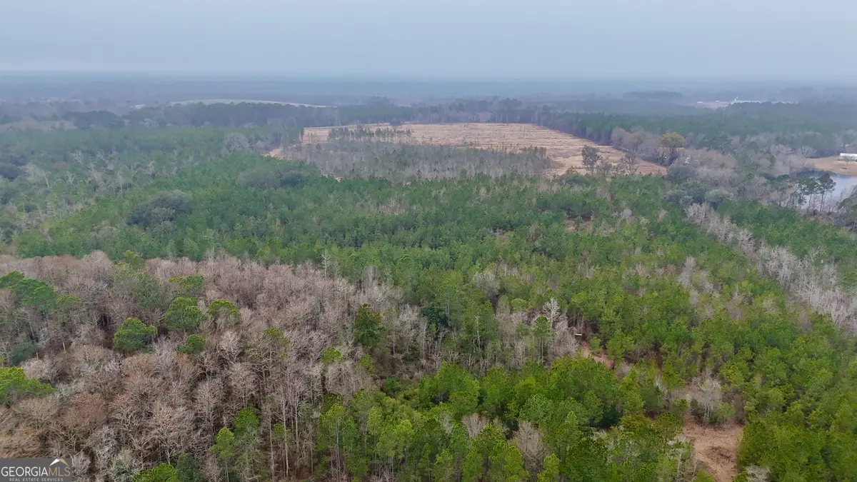 0 Edith Tillman Road, Glennville, GA 30427 - #1