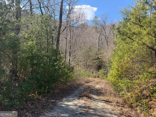 0 Shadow Mountain Drive #32, Dillard, GA 30537