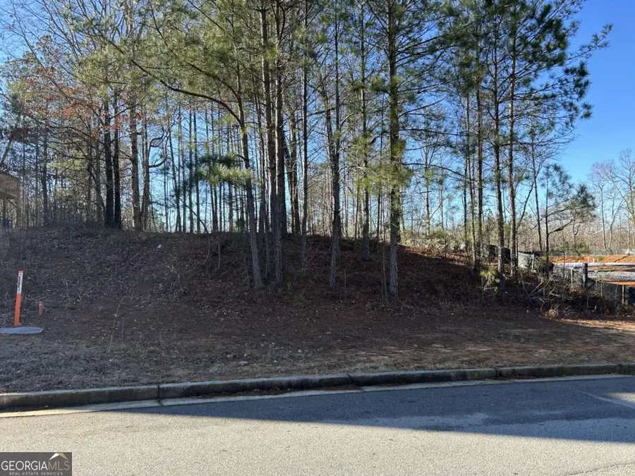 4190 Matisse Lane, Fairburn, GA 30213 - #3