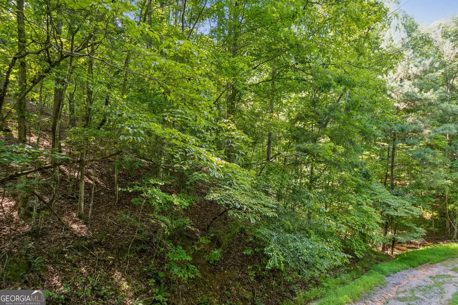0 Noah Court, Ellijay, GA 30540 - #2
