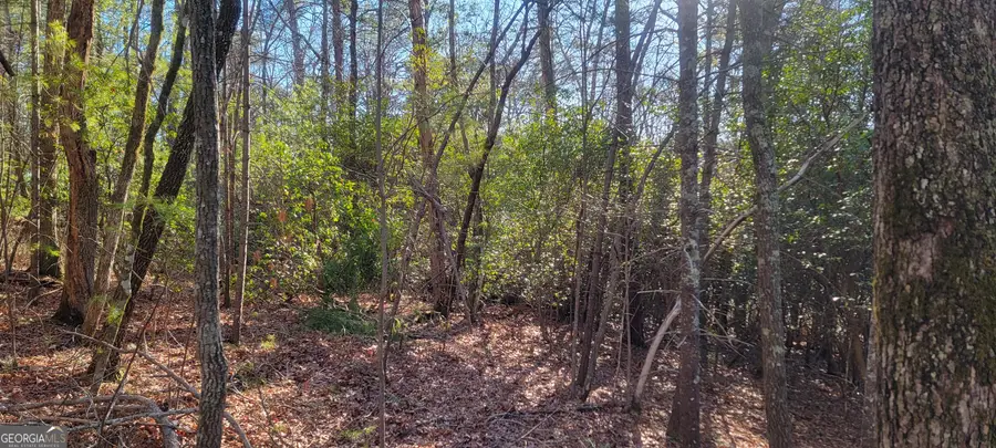 0 Underwood Lane, Clayton, GA 30525 - #3