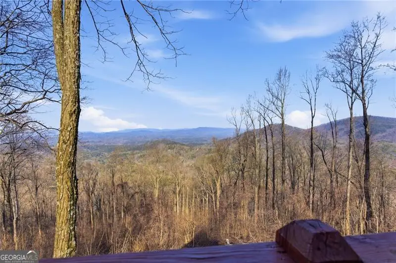 1665 Walnut Ridge, Ellijay, GA 30536 - #3