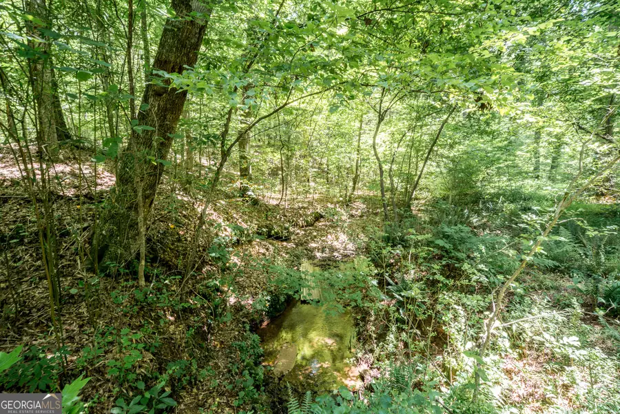 0 Wagers Mill Road #20+/- ACRES, Newnan, GA 30263 - #2