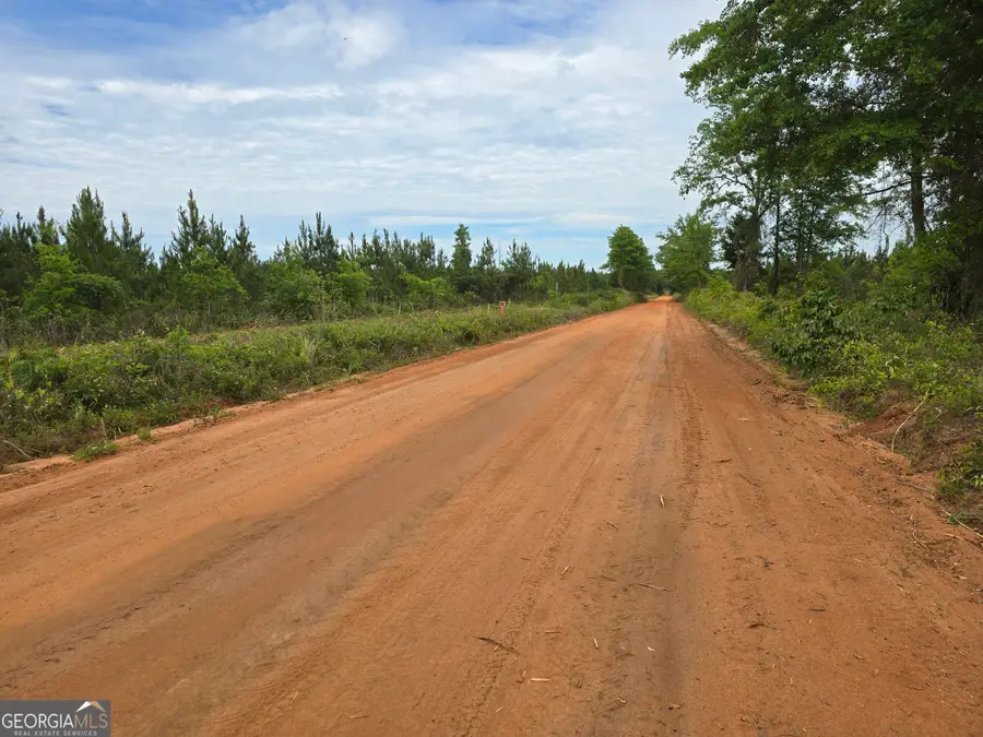 26 Marvin Murphy Road, Ellaville, GA 31806 - #3