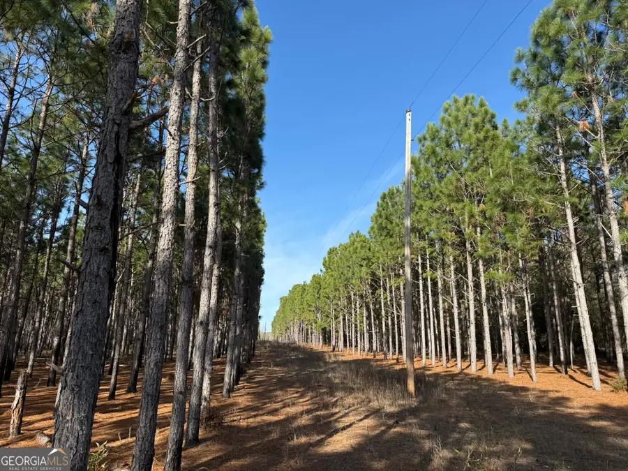 004 Hwy 45, Plains, GA 31870 - #3