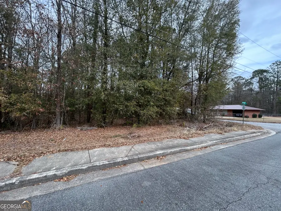 W Williams St, Montezuma, GA 31063 - #3