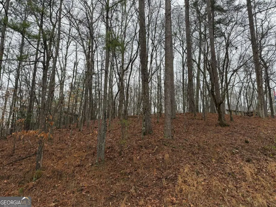 LOT 452 Joliet Drive, Ellijay, GA 30540 - #3