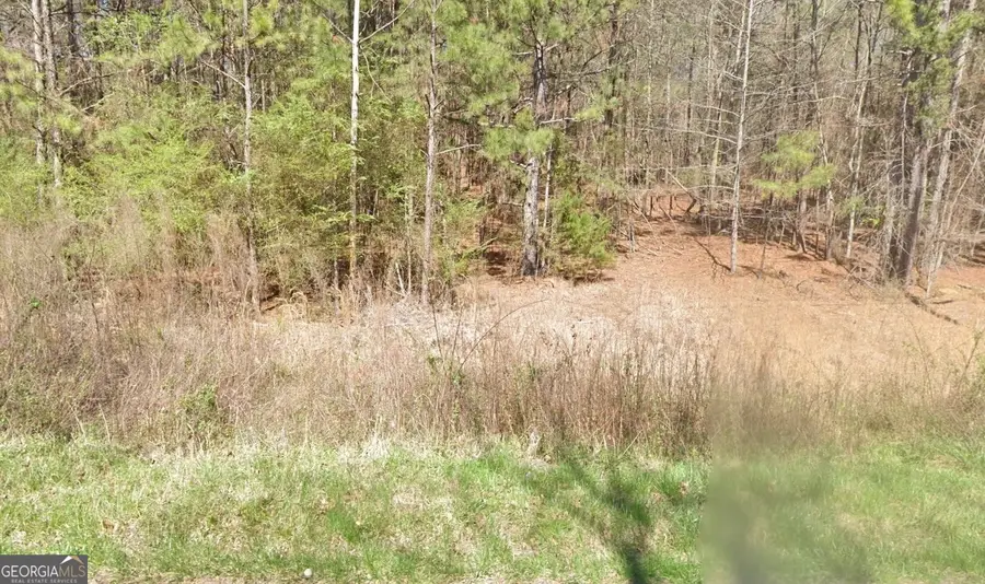 387 Michael Boulevard, Cedartown, GA 30125 - #3