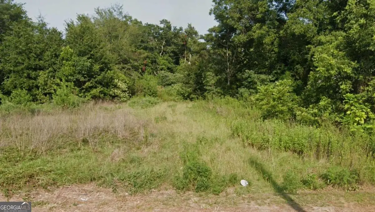 72 Henry Way, Hawkinsville, GA 31036 - #1