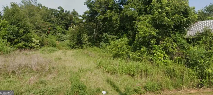 72 Henry Way, Hawkinsville, GA 31036 - #2