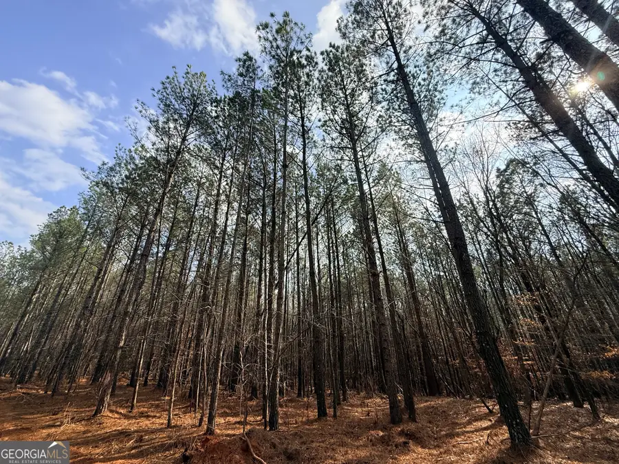 12 Cedar Creek Extension, Elberton, GA 30635 - #3