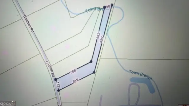 0 Goshen Road, Thomaston, GA 30286 - #3