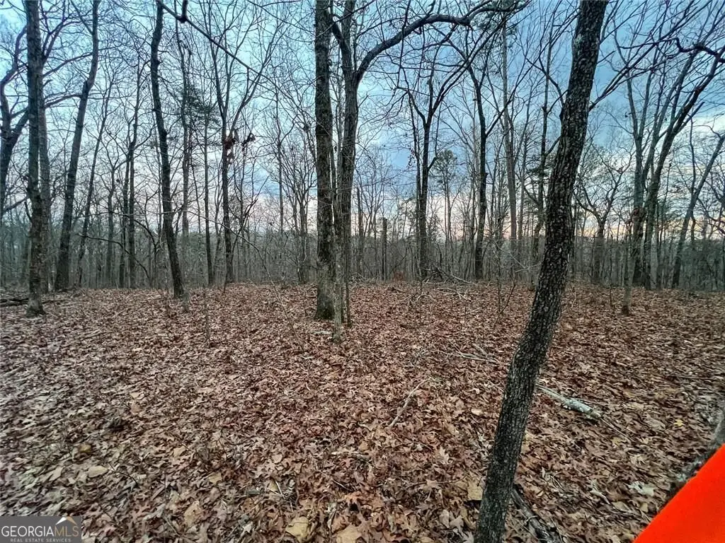 0 Kelly Bridge Road, Blacks Mill, GA 30504 - #1