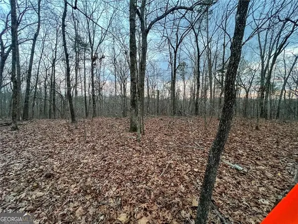 0 Kelly Bridge Road, Dawsonville, GA 30107