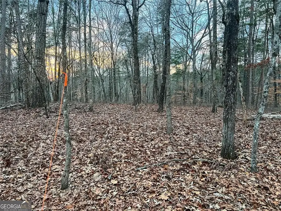 0 Kelly Bridge Road, Blacks Mill, GA 30504 - #3