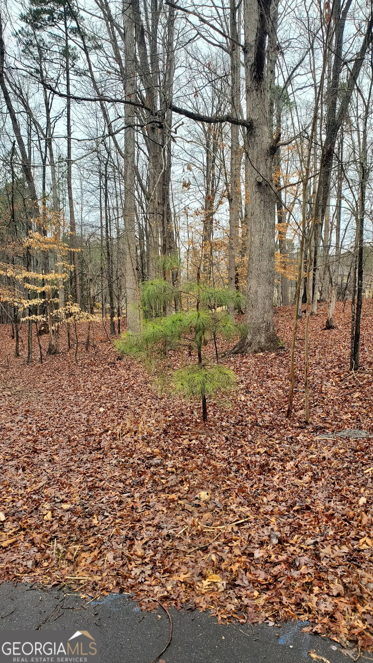 5578 Stone Trace, Gainesville, GA 30504 - #1