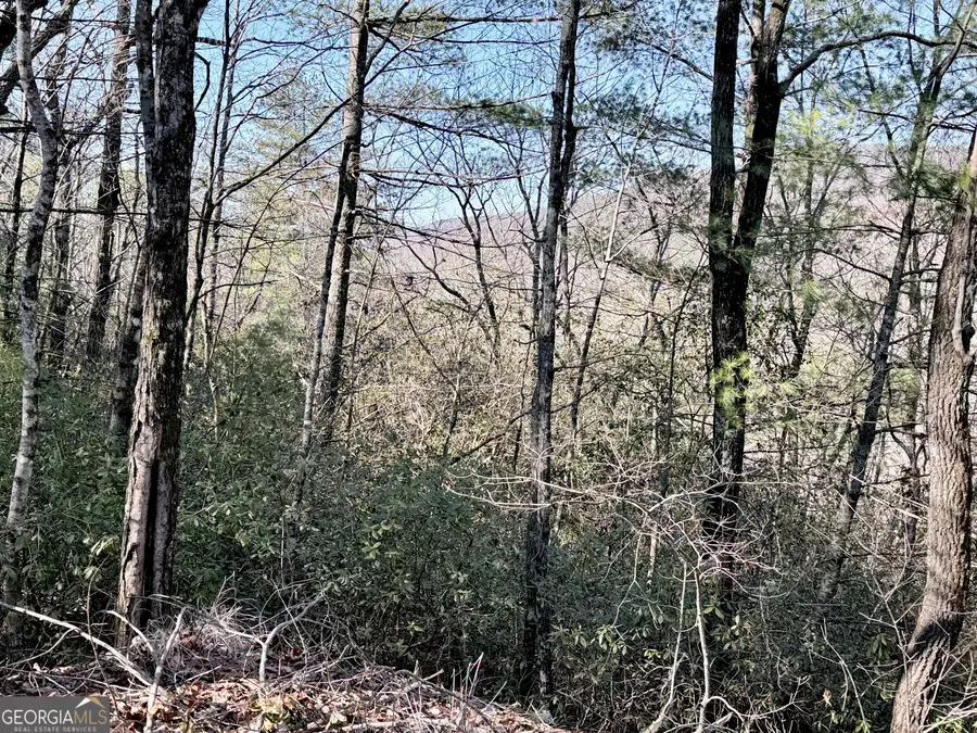 0 Rabun Bluffs Drive, Lakemont, GA 30552 - #3