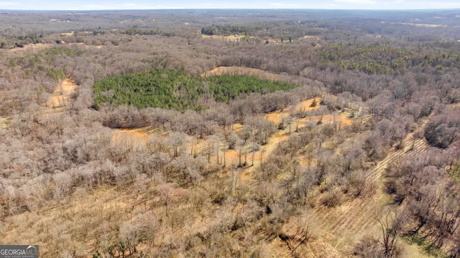 0 Highway 334, Nicholson, GA 30565 - #3