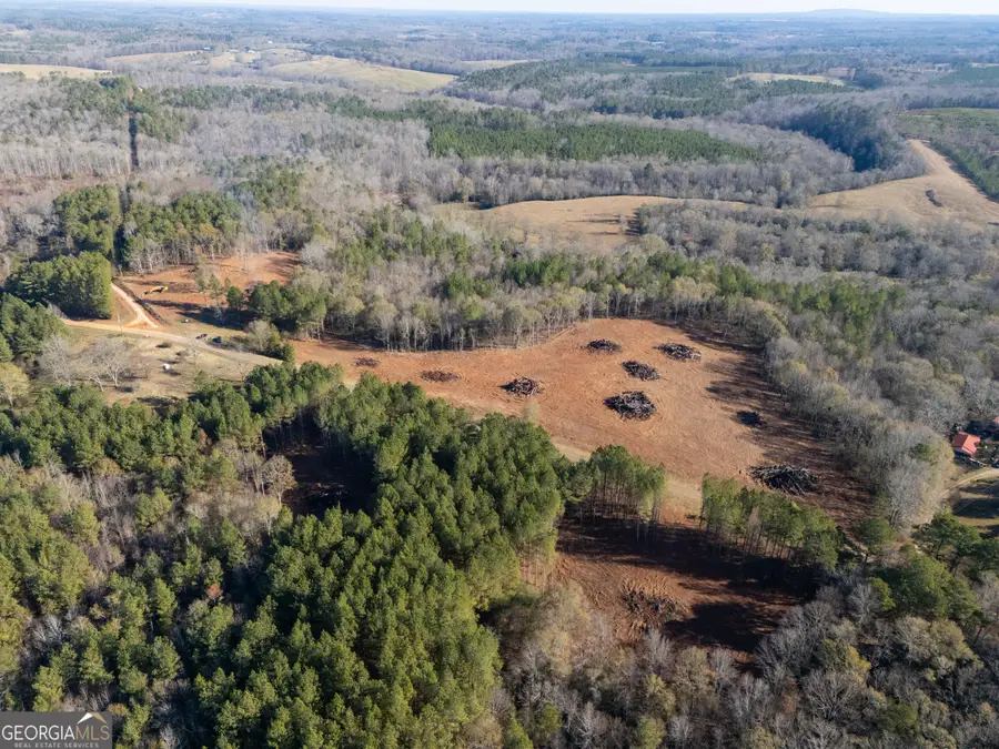0 County Road 432 Lot 2 #L2, Woodland, AL 36280 - #2
