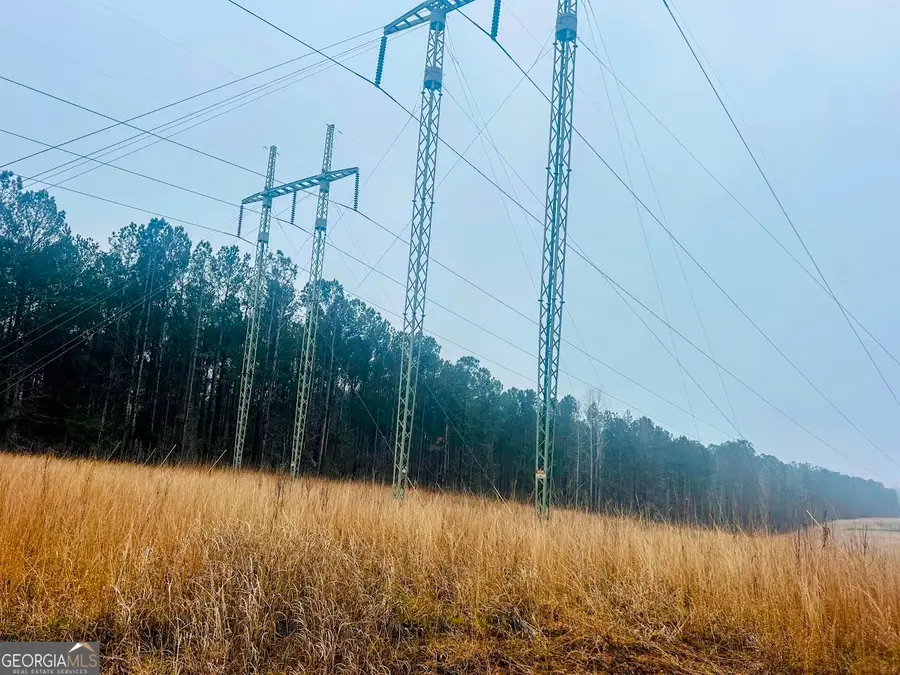 277 Pettigrew Road, Milledgeville, GA 31061 - #3