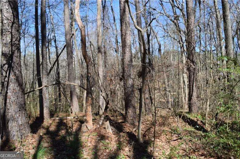 5425 Davis Drive, Austell, GA 30106 - #3